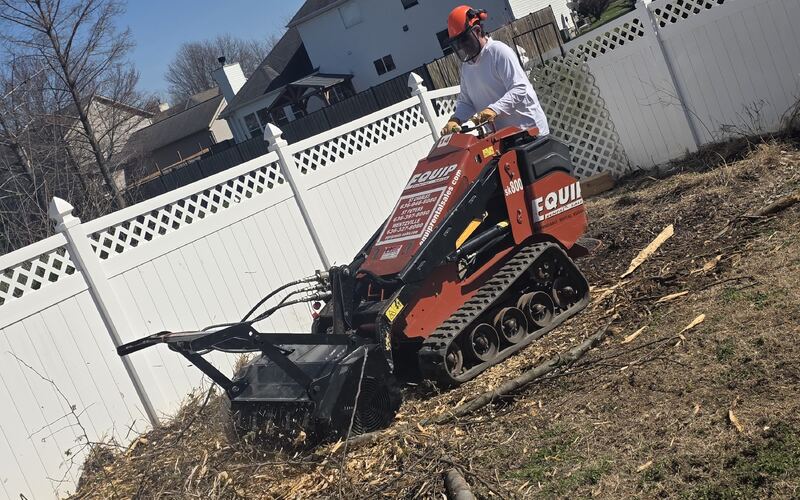 Compact 48-inch forestry mulcher working inside a fenced backyard