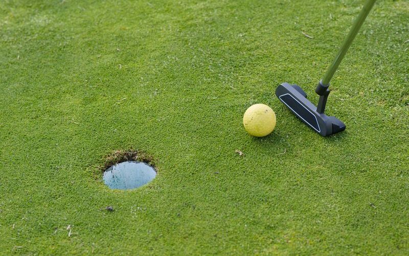 Backyard putting green with a hole and putter on manicured grass