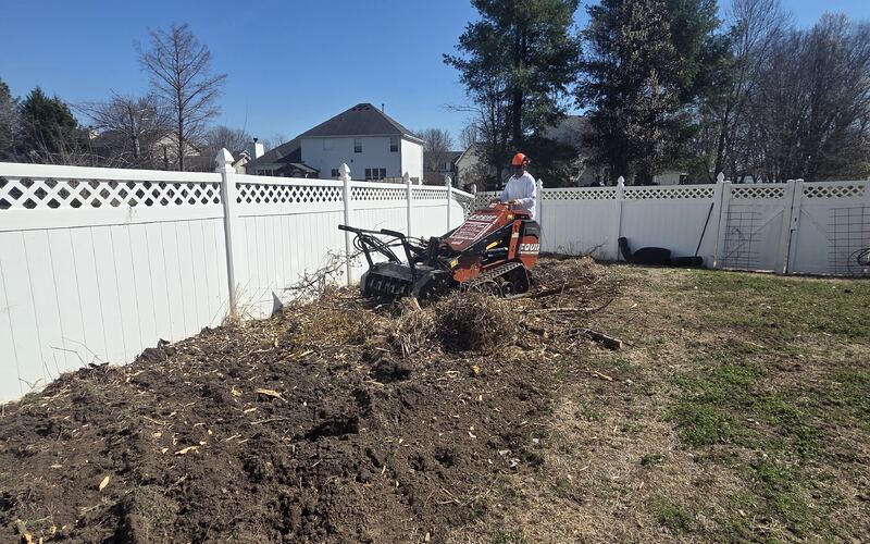 Brushy hillside on a larger lot being cleared along the fence line