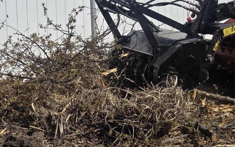 Mulcher head chewing through thick brush in a tight spot